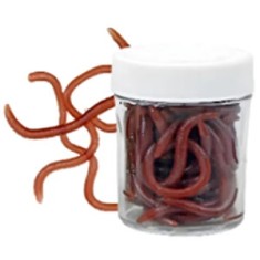 Rame Rosii De Pamant Cu Aroma Konger Groundworm Artificial Soft Bait Scented foto