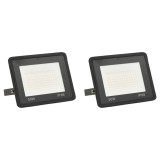 Proiectoare cu LED, 50 W, 2 buc., alb rece