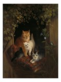Tablou Canvas, "Familie de pisici &icirc;n grădină linistită", Pisici, Blană, Mușcate, Frunze, Covor, &Icirc;ntuneric, Flori, Lumină, &Icirc;mbrățișare, Exuberanță, 26