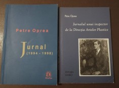 Petre Oprea - Jurnal 1994-1998 + Jurnalul unui inspector de la Direcția Artelor