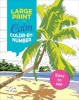 Large Print Calm Color-By-Number