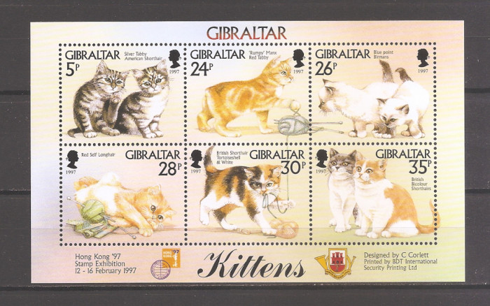 Gibraltar 1997 &ndash; Expo Hong Kong-Pisici (colita). MNH