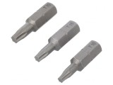 Capete Șurubelniță Torx 25mm 3buc