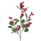 Crenguță Decorativă Crăciun, V&acirc;sc cu Fructe Roșii, 73 cm, Verde/Roșu, Plastic