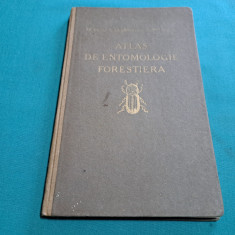 ATLAS DE ENTOMOLOGIE FORESTIERĂ * PARTEA I/ CONST. C. GEORGESCU/ 1931 *
