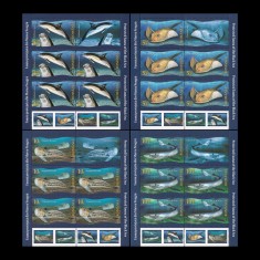 Set mini coli romania fauna protejata din marea neagra 2022 MNH. foto