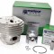 Kit cilindru drujba Husqvarna 254Xp Meteor