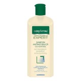 11500 Gerovital Tratament Expert Sampon antimatreata cu ichtiol, 250 ml, Farmec