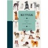 Kuty&aacute;k - K&ouml;nyv &eacute;s j&aacute;t&eacute;k egyben - Annette Conn