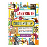 Labyrinth of Curiosities