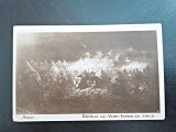 Fotografie tip Carte Postala, reproducere tablou Aman Batalia lui Vlad Tepes cu facle, necirculata