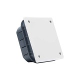 Doza de Legatura cu Suruburi ST 100x100x45mm, Eco