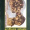 PROBLEME ACTUALE IN PEDIATRIE-S. NICOLAU, I. POPA-263857