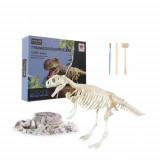 Set educativ paleontologie descopera fosile dinozaur Tyrannosaurus Rex, Oem