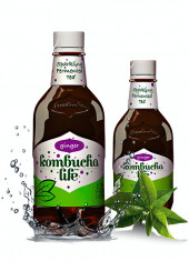 Kombucha Life cu ghimbir 500ml foto