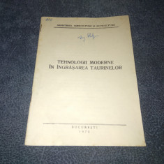 TEHNOLOGII MODERNE IN INGRASAREA TAURINELOR 1971