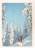 RF214 - Carte Postala - Peisaj de iarna, circulata 1981