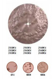 Disc din carbura de tungsten pt. slefuiri placi, &Oslash;450mm, gran. 16 - Raimondi-27445W16, Oem