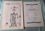 NIC NIC - Teatrul de comedie, caiet program, stagiunea 1967-1968 distributie ( Amza Pelea, Sanda Toma, Iurie darie, Virgil Ogasanu, etc)