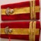 C2 4 - Grade militare - locotenent colonel infanterie