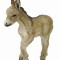 Manz mergand - Collecta