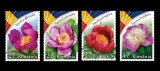 Cumpara ieftin ✅ RO 2023 LP 2418 "Bujorul, floarea naționala a Rom&acirc;niei" serie ,MNH