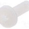 Surub M4, poliamida, lungime 12mm, cap rotund, pas filet 0.7, DREMEC - 8G205M4X12
