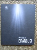 BRANCUSI - UN SCULPTOR DE LA RASARIT de PAVEL SUSARA , 2023