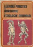 Cumpara ieftin Lucrari practice de anatomie si fiziologie animala - Ion Mihailescu