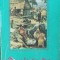 INAINTE DE SHOGUN-DAVID CHARNEY-262147