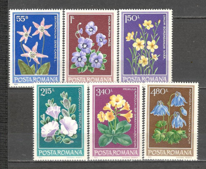 Romania.1979 Flori protejate ZR.619