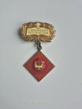 Insignă COMANDANT INSTRUCTOR &ndash; Model Mare (5.5 cm) &ndash; RSR &ndash; Stare Excelentă - Pionier