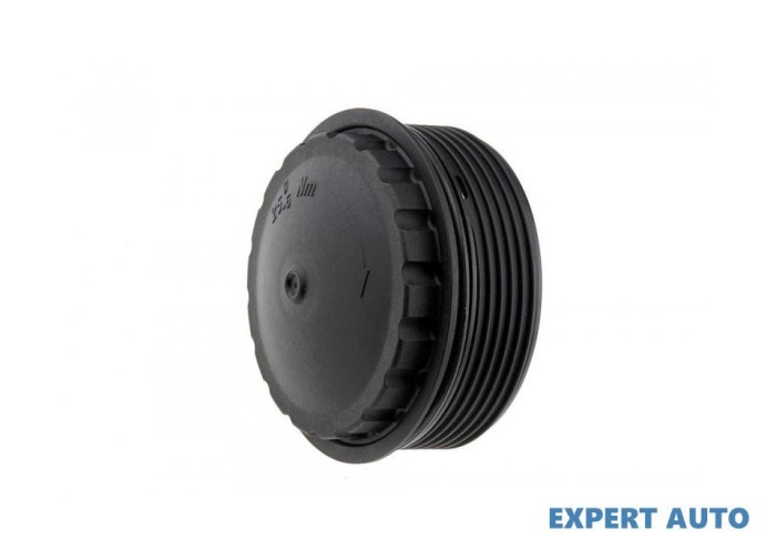 Capac filtru ulei Renault Master II (1998-&gt;)[FD,JD,ED/HD/UD] #1