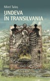 Undeva in Transilvania, Rao