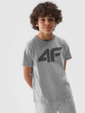 Tricou cu imprimeu pentru băieți - gri rece deschis, 4F Sportswear
