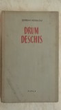 Serban Nedelcu - Drum deschis (ESPLA)