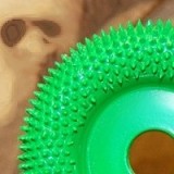 Disc sculptura lemn SABURR - Rotund- &Oslash; 50mm - Aspru