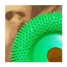 Disc sculptura lemn SABURR - Rotund- &Oslash; 50mm - Aspru