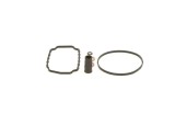 Set garnituri, pompa injectie