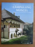 Campulung Muscel. Schite pentru o monografie arhitecturala arhitectura biserici