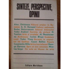 Sinteze, Perspective, Opinii - Colectiv ,304992