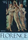 Cumpara ieftin Musees de Florence. Galerie des offices, Palais Pitti - 1966 - Filippo Rossi (AQ376)