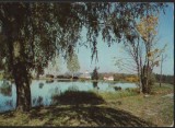 CPI B14008 CARTE POSTALA - VEDERE DIN SAMBATA DE SUS, Circulata, Fotografie