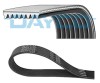 DAYCO 8PK2548HD Curea transmisie cu caneluri