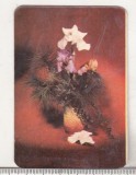Bnk cld Calendar de buzunar 1981 - Masinexportimport