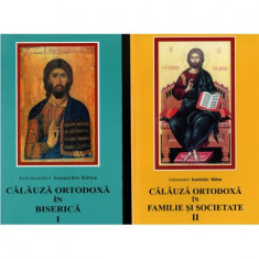 Ioanichie Balan - Calauza ortodoxa in biserica Vol I - Calauza ortodoxa in familie si societate Vol II - 122981 foto