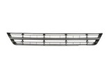 Grila ventilatie, bara protectie FORD FOCUS Combi (DNW) (1999 - 2007) BLIC 6502-07-2532996P