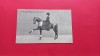 Bucuresti Bukarest Circ Circus Zirkus Cesar Sidoli Cirque Royal 1898, Necirculata, Printata