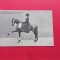 Bucuresti Bukarest Circ Circus Zirkus Cesar Sidoli Cirque Royal 1898