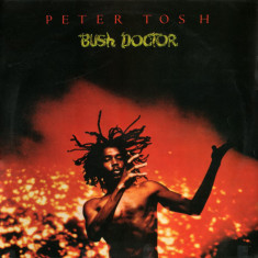 Vinil Peter Tosh ‎– Bush Doctor (-VG)